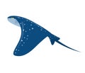 Marine vector illustration of a stingray isolated Royalty Free Stock Photo